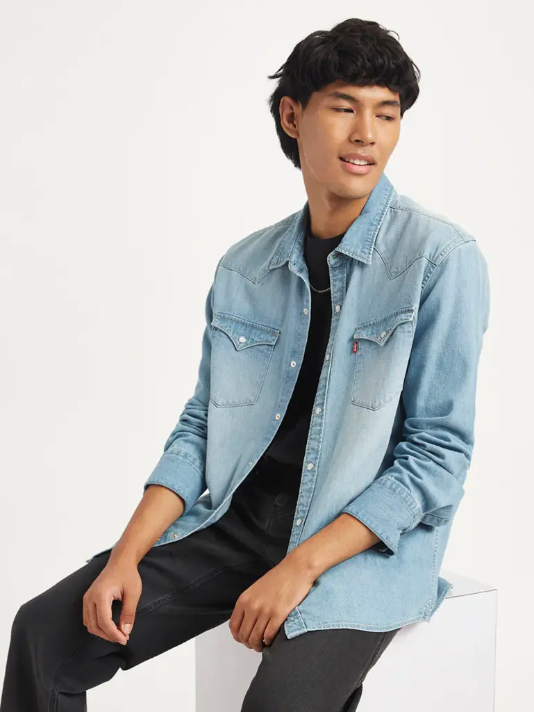 Men's Solid Regular Fit Denim Shirt (L)